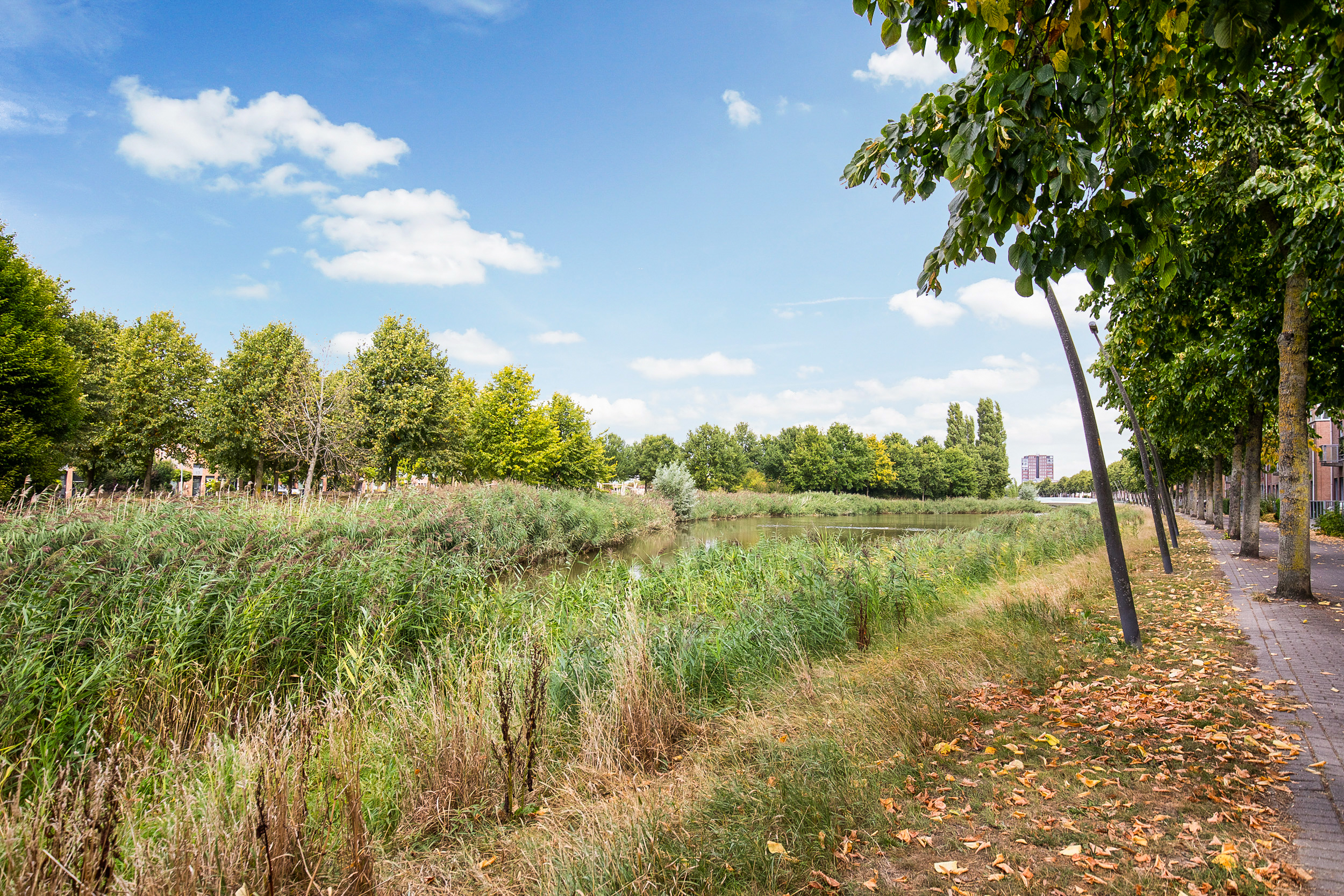 Nabuccosingel 9 , 2152 DA Nieuw-vennep 45